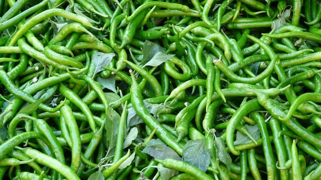 Health Benefits of Green Chilli