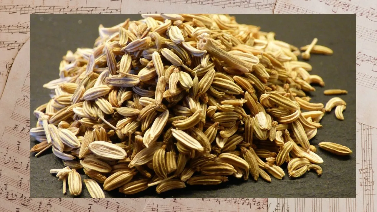 Fennel Seed Tea Benefits