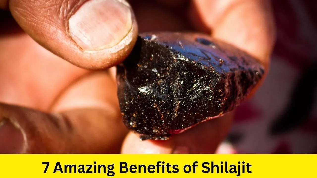 7 Amazing Benefits of Shilajit