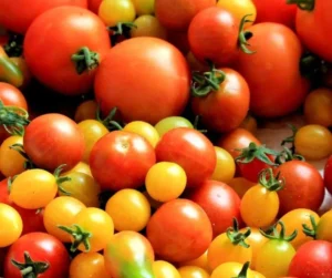 7 Amazing Benefits of Consuming Tomatoes Daily